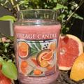 Zesty Grapefruit KatBild .jpg